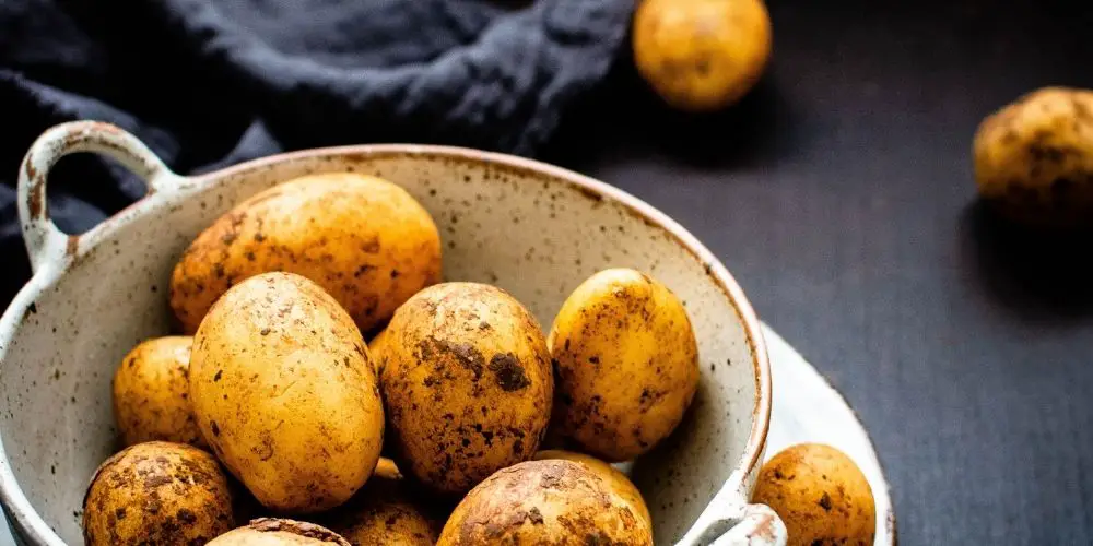 Are seed potatoes good to eat?