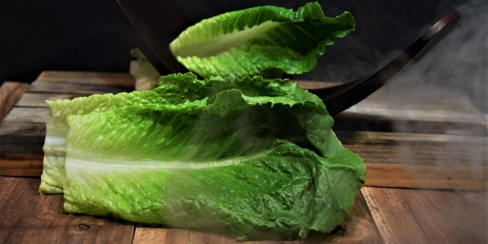Which Lettuce Is Easiest to Grow?