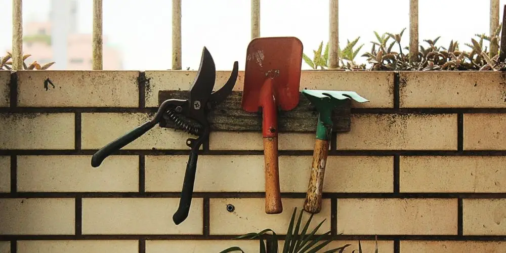 How to find the most useful gardening tool for you