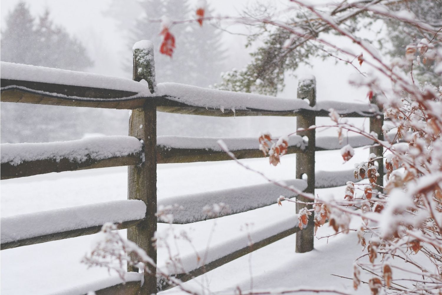 Fence Posts vs Winter: Will the cold weather hurt your fence posts?