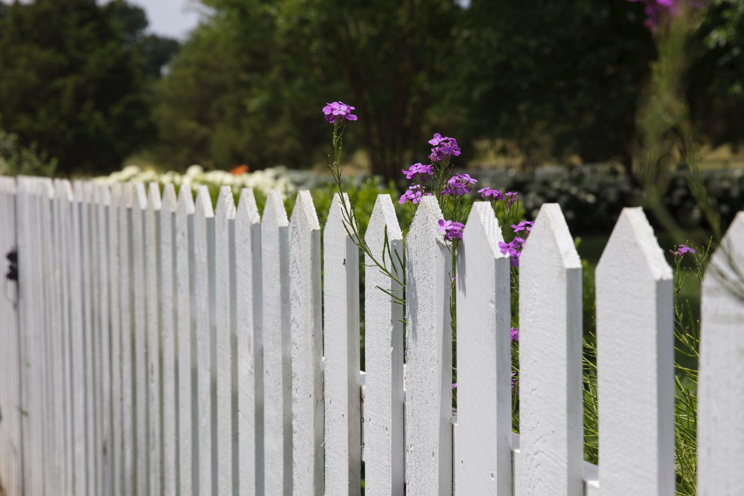 How Tall Should Your Fence Be for a Garden?