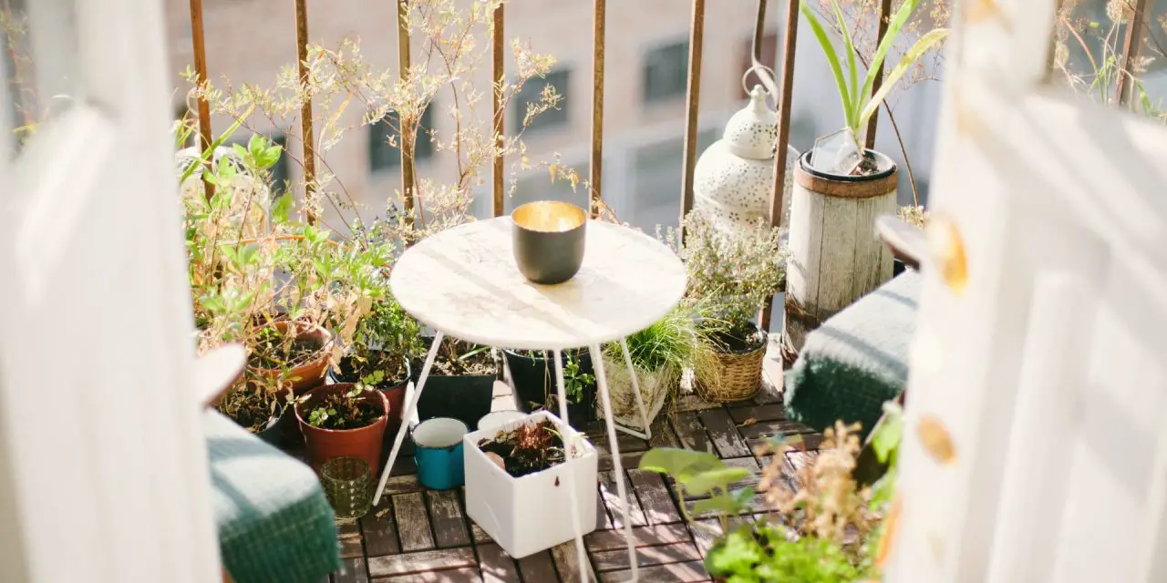 5 Ways to Garden on a Terrace, Even if You Don’t Have a Lot of Space